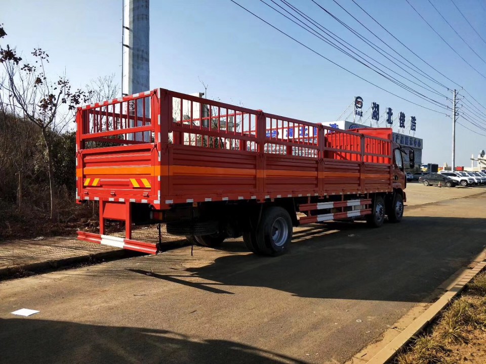 湖北程力東風(fēng)柳汽乘龍9米6氣瓶運(yùn)輸車 (12)